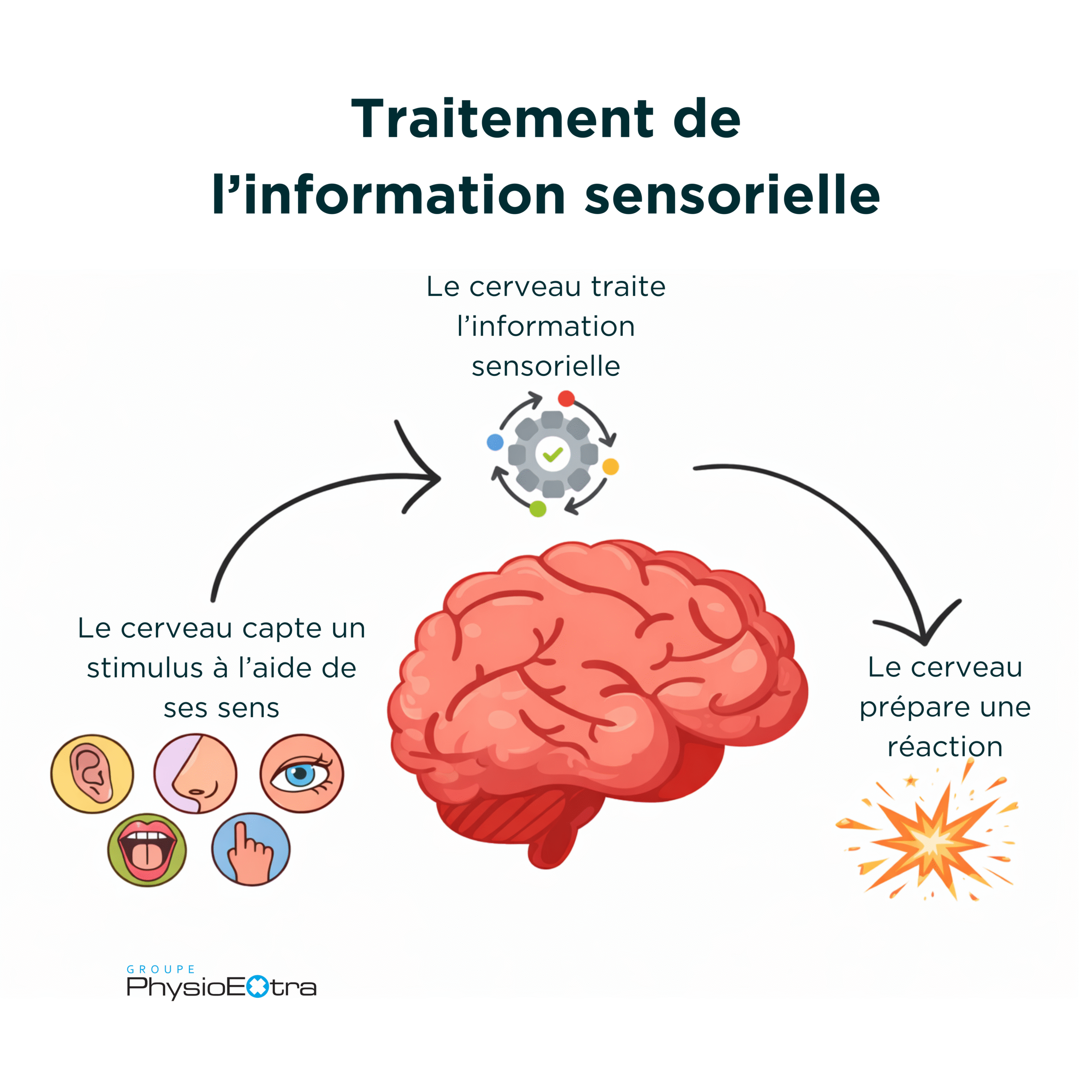 traitement de l'information sensorielle