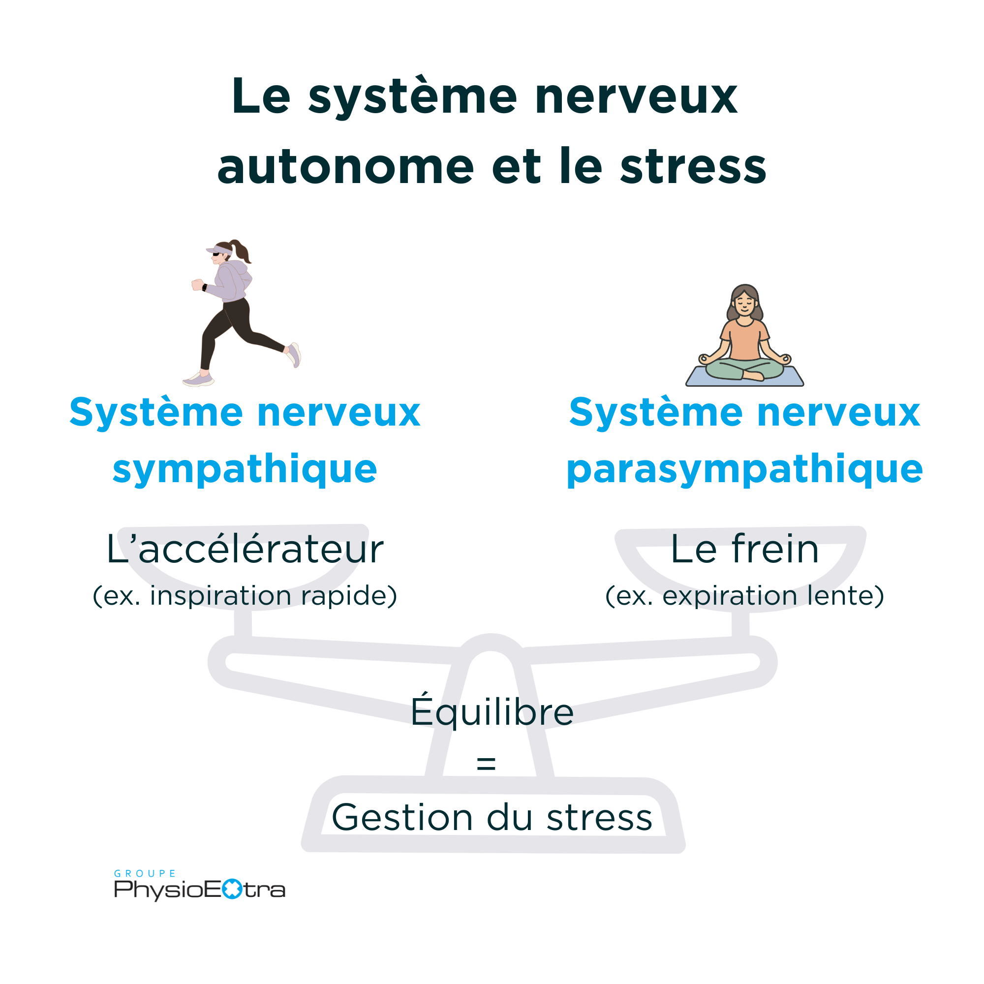Infographie du système nerveux autonome illustrant le système sympathique, parasympathique et la gestion du stress par la respiration