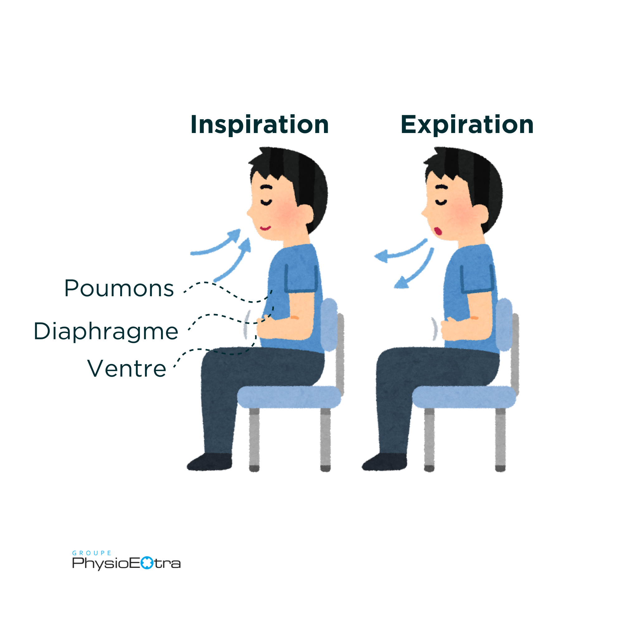 Exercice de respiration diaphragmatique montrant inspiration et expiration pour réduire le stress