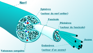 céphalée 1