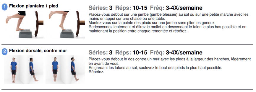 exercices-tibiaux-mollets-physioextra